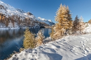 La prima neve autunnale al Calvi-44